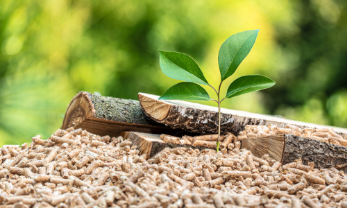 Houtpellets of Hout: Wat is de Beste Keuze?